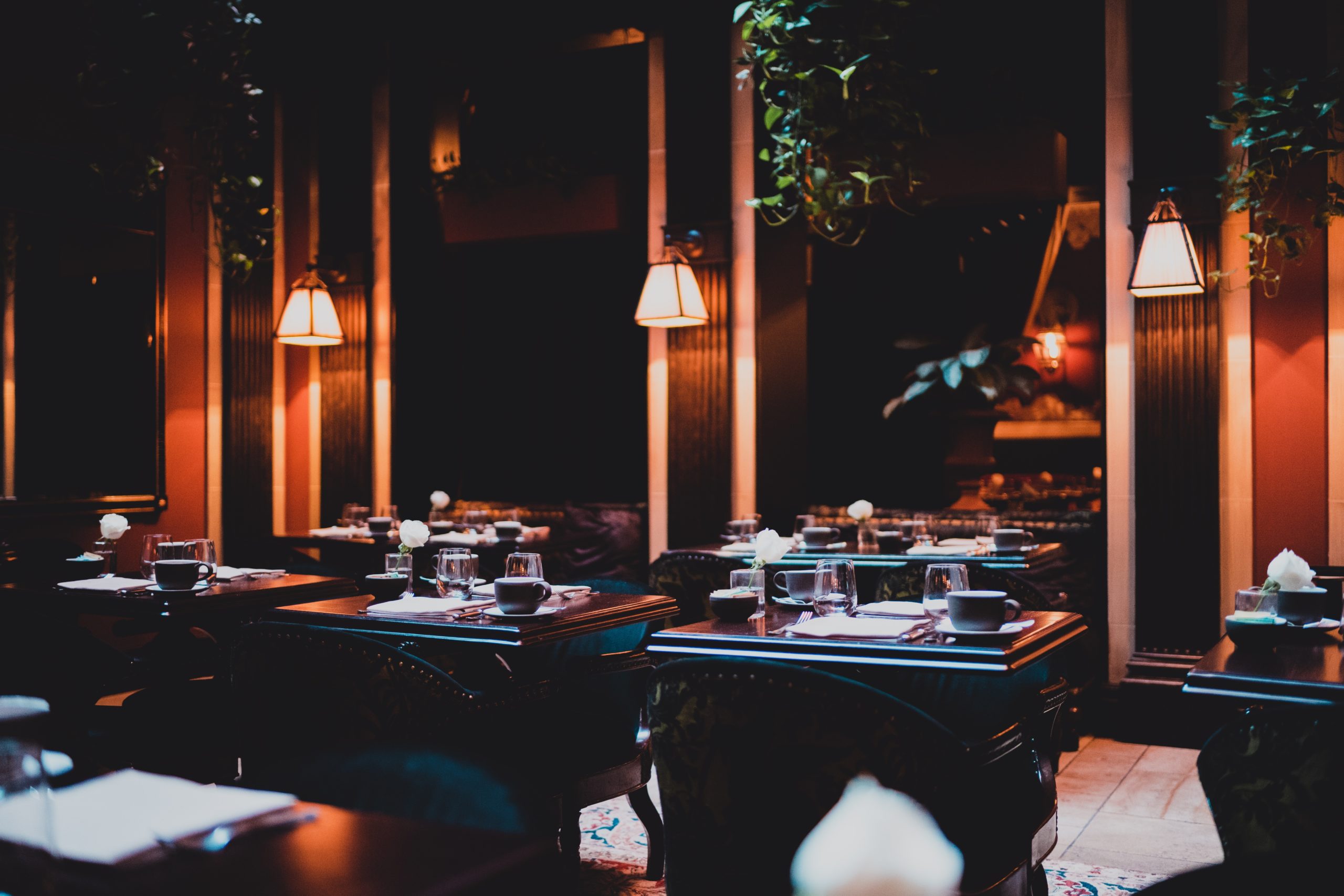 The Ultimate Guide To Mastering The Coattail Effect - njd3tyk
