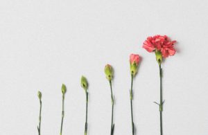 Nurturing Excellence in Managerial Role