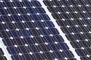 Restaurants Leading the Way in Sustainability